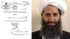 د طالبانو غورځنګ مشر