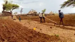 Abagabo bafite ingiga y'igiti barimo guhingisha