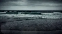 અભ્યાસમાં જાણવા મળ્યું છે કે 2003થી 2022 દરમિયાન વૈશ્વિક મહાસાગરનો 21 ટકા ભાગ ડાર્ક થઈ ગયો છે