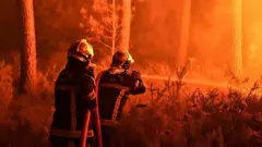 ఫ్రాన్స్ వైల్డ్ ఫైర్స్