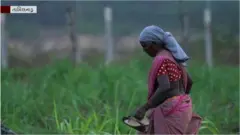 મહિલા