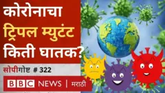 ट्रिपल म्यूटंट
