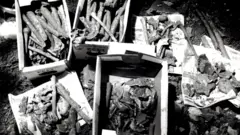 Una fotografía en blanco y negro muestra una caja que contiene huesos.