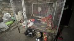 भरतभाईंनी आपल्या मुलांच्या सुरक्षिततेसाठी पलंगाभोवती लोखंडी पिंजरा तयार करून घेतला.