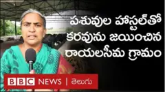 పశువుల హాస్టల్