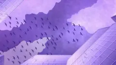 Örümcek ağı