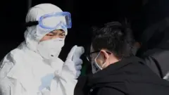 перевірка