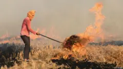 ਪਰਾਲੀ ਅਤੇ ਪ੍ਰਦੂਸ਼ਨ