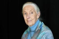 İngiliz primatolog Jane Goodall 91 yaşında hayatını kaybetti