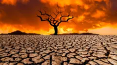 ગરમી, ઉનાળો, બીબીસી ગુજરાતી