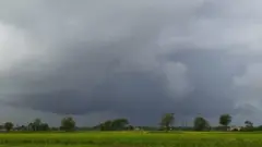 હવામાન