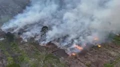 Foto udara kebakaran hutan dan lahan (karhutla) Aceh
