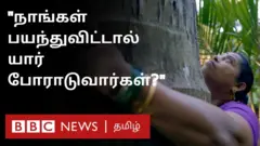மும்பை ஆரே காடு