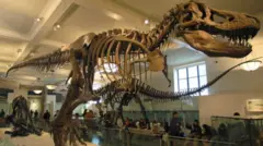 प्रातिनिधिक फोटो 