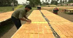 மாம்பழம், ஆந்திரா