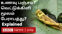 வெட்டுக்கிளிகள் படையெடுப்பு