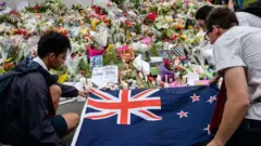 د ۲۰۱۹ کال په مارچ کې پر النور جومات له برید وروسته نیوزلینډ کې د وسلو ساتلو قانون سخت شو