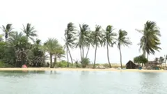 උච්චිමුනේ