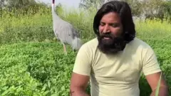 सारस और इंसान की दोस्ती