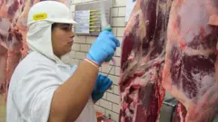 Trabalhadora em planta de processamento de carne da JBS em Lins 