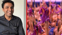 પ્રણય સોલંકી, સુરતમાં કેસરની ખેતી, કેસરની ખેતી માટે જરૂરી સેટઅપ ઊભું કરવા માટે કેટલો ખર્ચ થાય, કઈ-કઈ બાબતોનું ધ્યાન રાખવું પડે, કઈ-કઈ સમસ્યા આવી શકે તથા એ પછી કેટલી આવક થાય, બીબીસી ગુજરાતી કૃષિ સમાચાર 