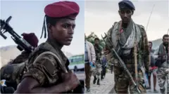 ወተሃደር ኢትዮጵያ (ፀጋም) ፤ ኣባል ሰራዊት ትግራይ (የማን