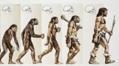 نظریہ ارتقا