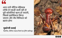 कीनिया के वैज्ञानिक का कोट