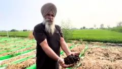 ਜਸਵਿੰਦਰ ਸਿੰਘ ਸੰਗਰੂਰ