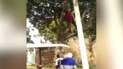 पेड़ पर चढ़ा शख़्स