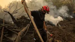 пожари у србији, пожар у делиблатској пешчари, гашење пожара