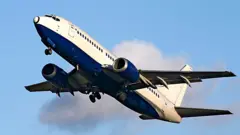 બોઇંગ 737 ચીન પ્લેન ક્રૅશ