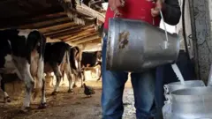 साङ्केतिक तस्बिर 