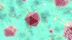 Coronavirus