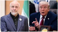 ترامپ و قالیباف