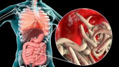 Yadda tsutsa ke shiga cikin ɗan'adam