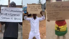 Pipo wey cari placards