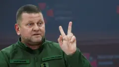 Залужний 