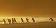 ‘ኣብ ዘይዓቕመይ ተወዳዲረ . . .’