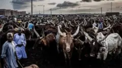 Fulani Darandaran