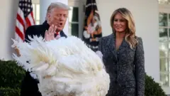 Trump, Donald Trump, Pemilu Amerika