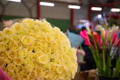 Аялзатка аппак роза...