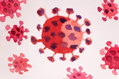 Virus corona