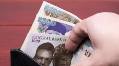 Owo naira