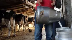 दूध उद्योग