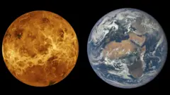 Dois planetas de tamanho semelhante: Vênus, à esquerda, é amarelo-escuro com redemoinhos e crateras de cor mais clara visíveis; a Terra, à direita, é azul com massas de terra marrons e verdes e redemoinhos brancos por toda parte.