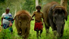 "ધ ઍલિફન્ટ વ્હિસ્પરર્સ"