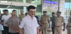 DMK
