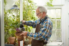 Idoso molhando planta