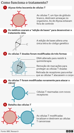 Um processo em cinco etapas mostrando como o tratamento funciona. 1. Uma célula circular vermelha com estruturas em Y na superfície representa as células T cancerosas. 2. Um espiral de DNA com uma letra “C” destacada. 3. Uma célula circular azul com o DNA no interior, representando a edição das células T doadas. 4. Modificação adicional da célula T. 5. A célula T azul atacando a célula T vermelha cancerosa